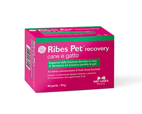 Ribes Pet Perle Recovery - Perle