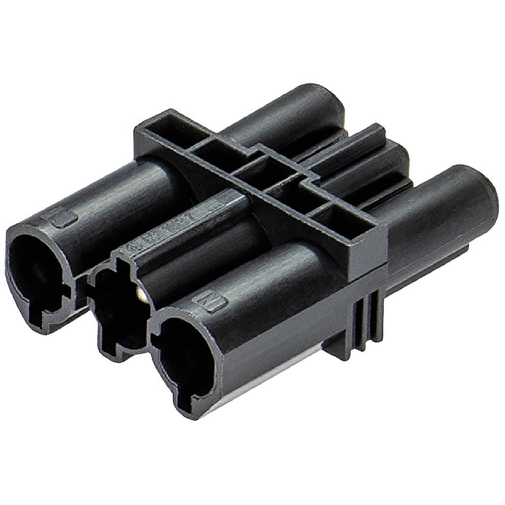 Wieland Electric 99.403.9999.9 Distributore Nero