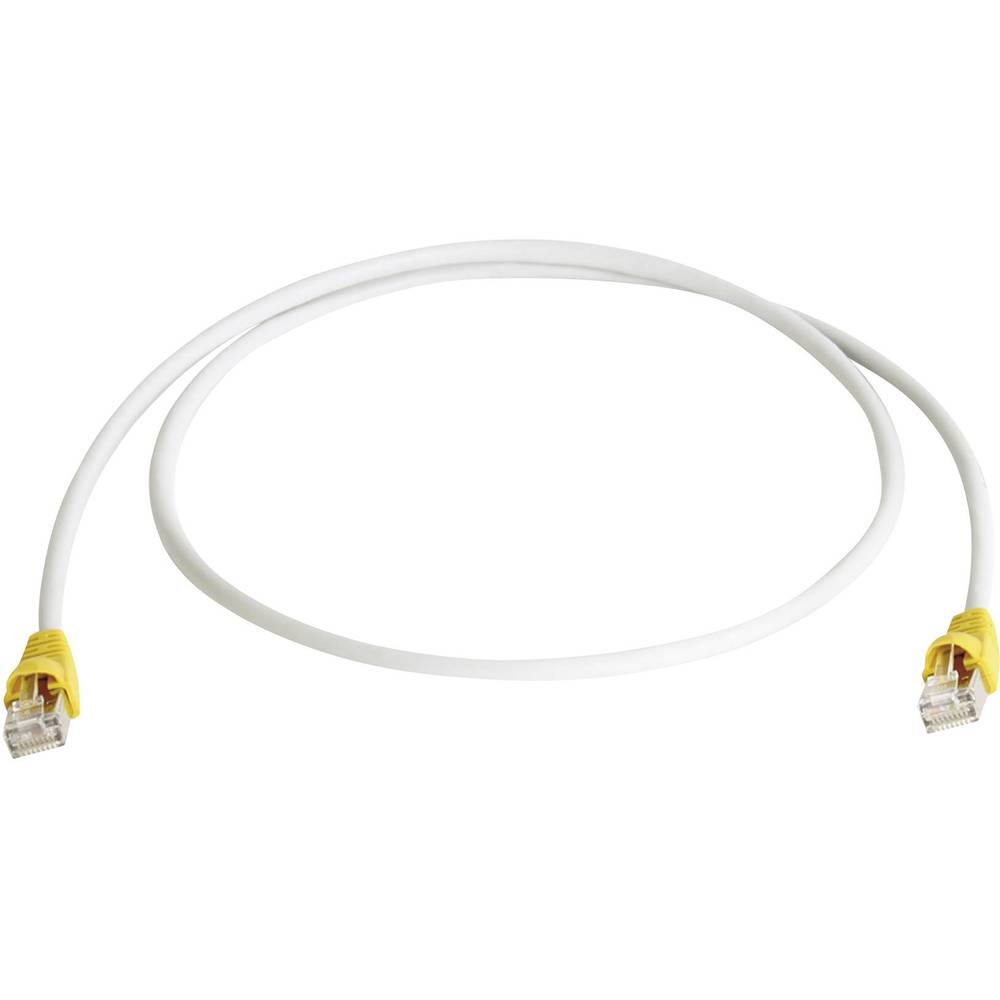 Telegärtner RJ45 (incrociato) Rete Cavo CAT 6A S/FTP 5.00 m Grigio Ritardante di fiamma, con protezione