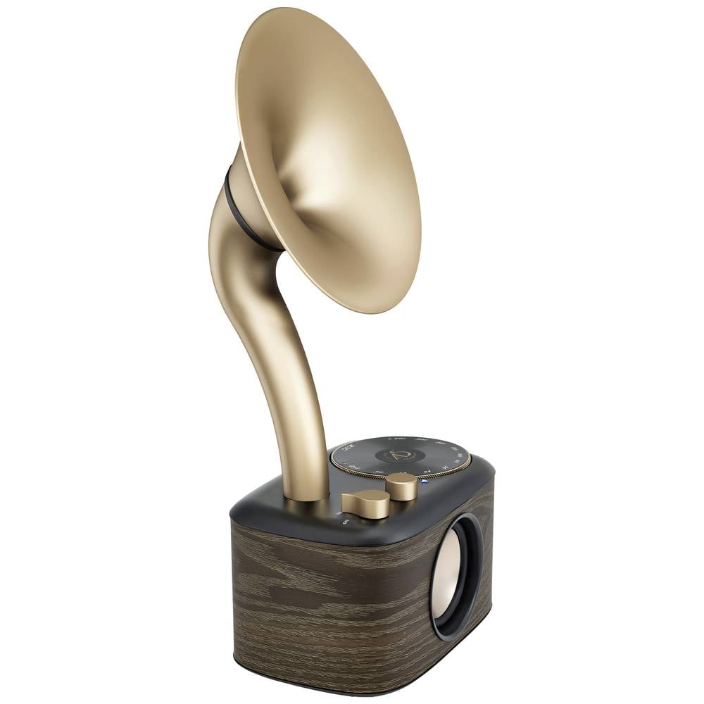 Sangean WR-45X Gold Radio da tavolo FM AUX, Bluetooth ricaricabile Nero, Oro