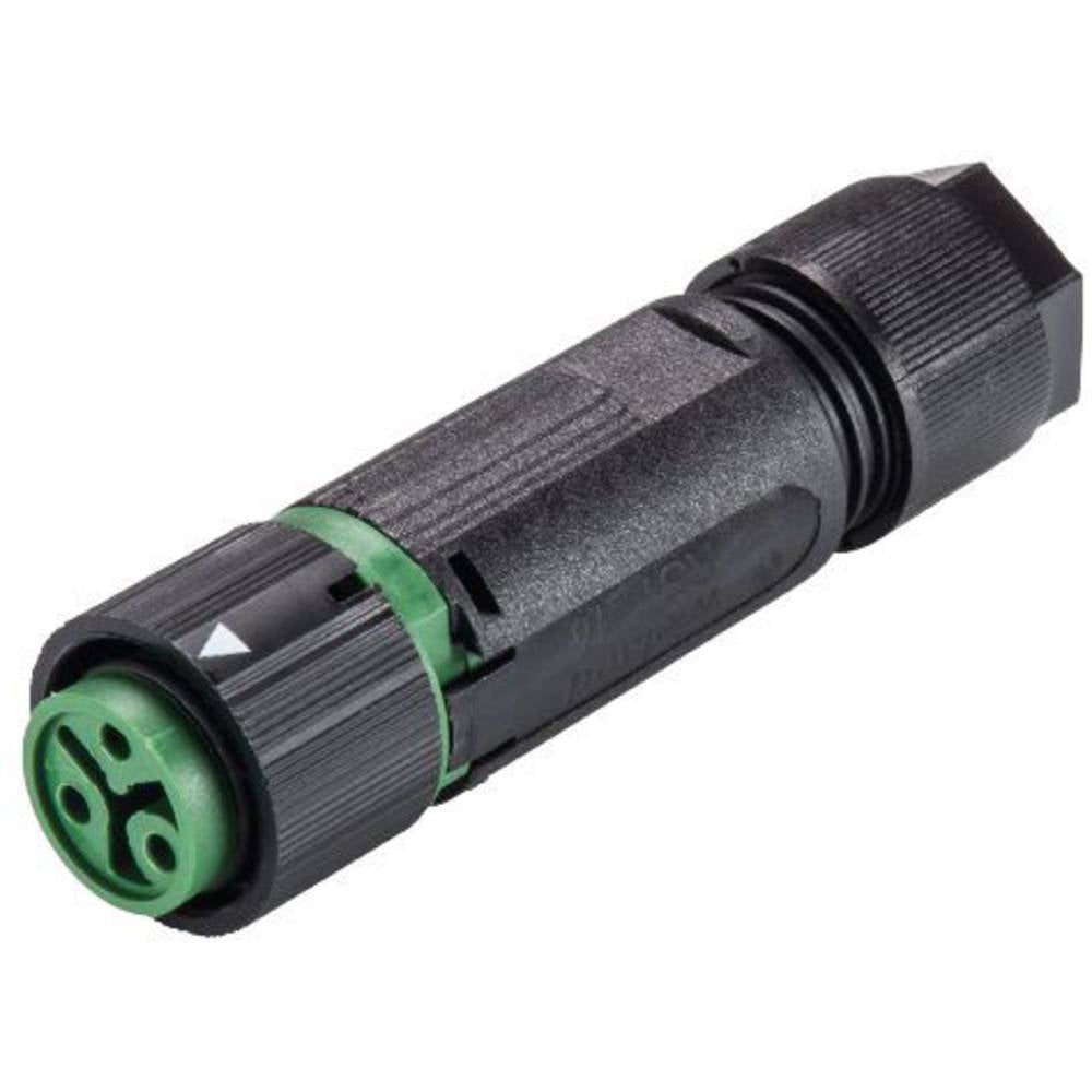 Wieland Electric 46.031.4555.7 Connettore circolare Giunto dritto Tot poli: 2 + PE Serie (connettore circolare): RST® MINI 1 pz.