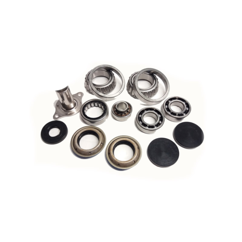 Sasic Repair Kit 2954002