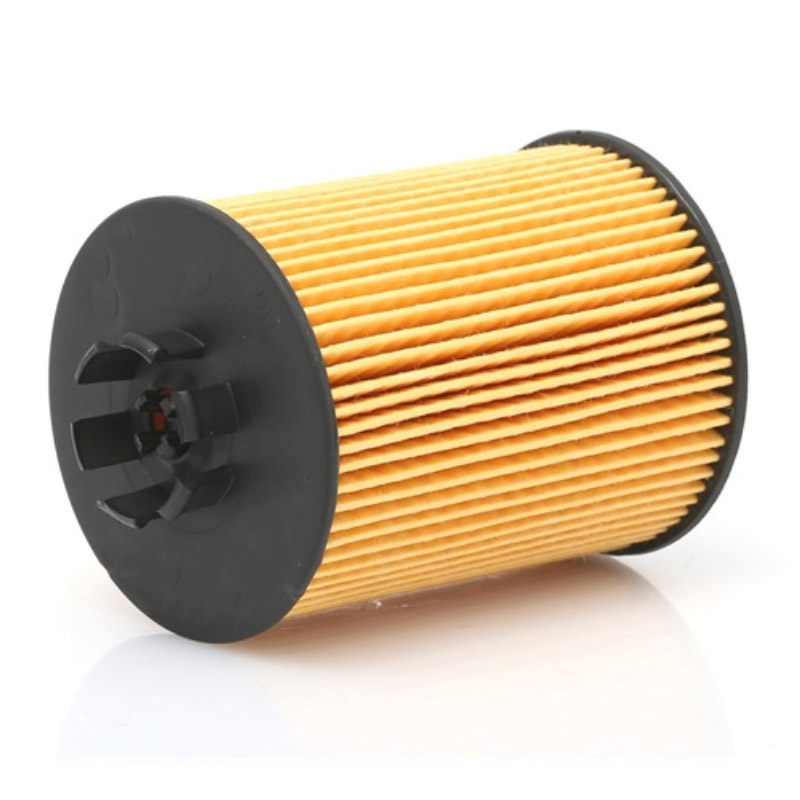 Purflux Filtro Bmw 3 (E46) 3 Compact (E46) 3 Touring (E46 L307