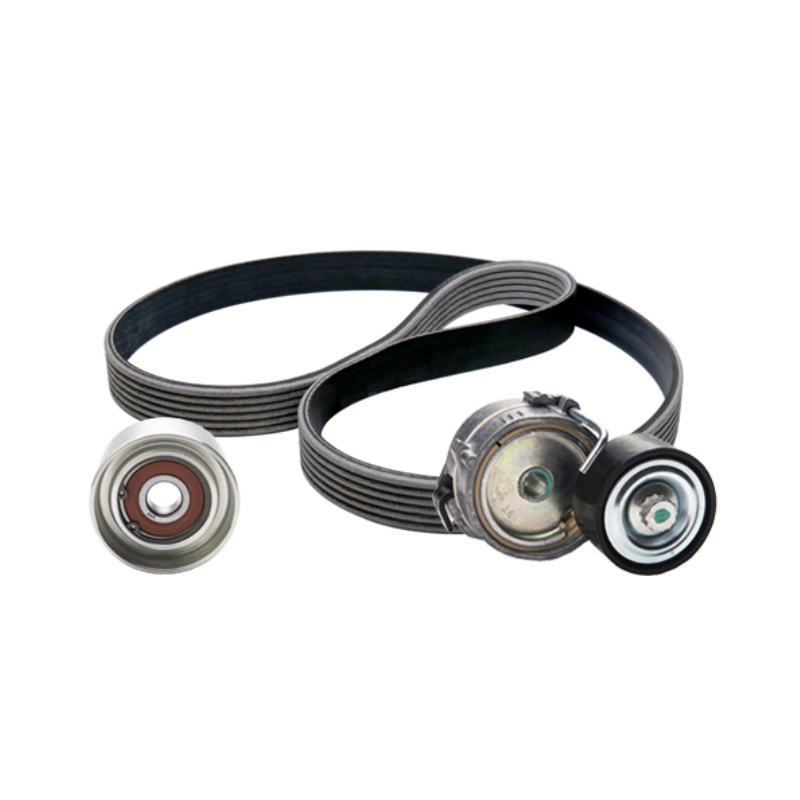Ina Kit Cinghie Poly-V Peugeot 206 Schrägheck (2A/C) 1 529010910