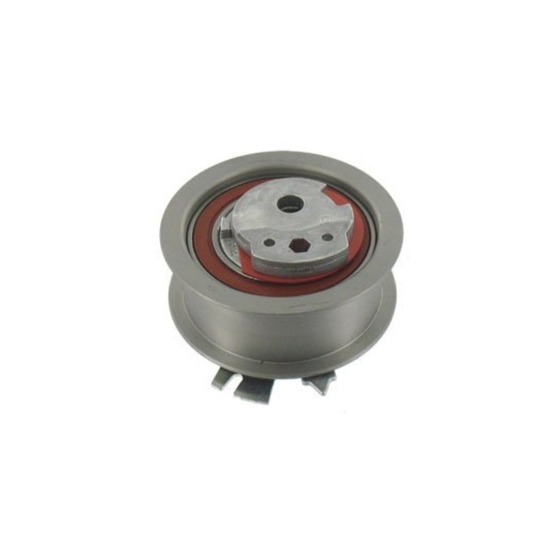 Dayco Tenditori Apv1076