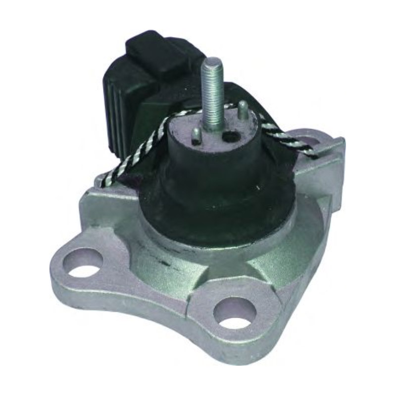Birth Sospensione, Motore 50509