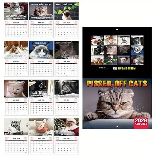 Calendario 2026 con gatto arrabbiato, calendario divertente con cacca di cane, planner mensile laminato con date in inglese da gennaio a dicembre, ide