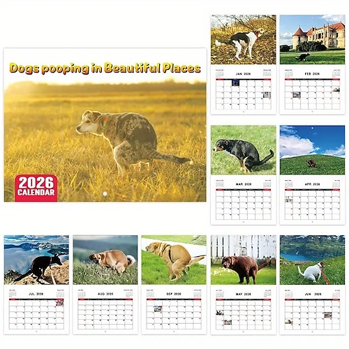 Calendario 2026 con gatto arrabbiato, calendario divertente con cacca di cane, planner mensile laminato con date in inglese da gennaio a dicembre, ide