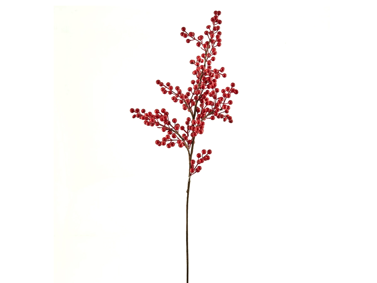 Branch Berries