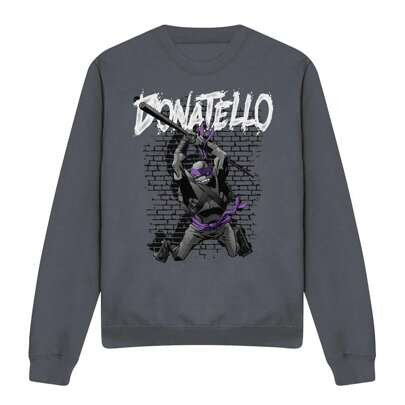 Felpa unisex adulta Donatello (Carbone)