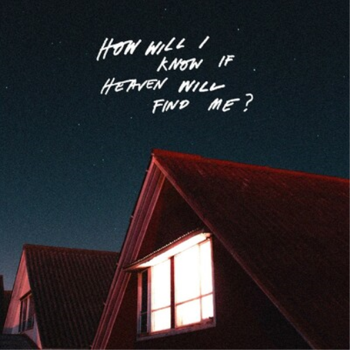 The Amazons How Will I Know If Heaven Will Find Me? (Vinyl LP)