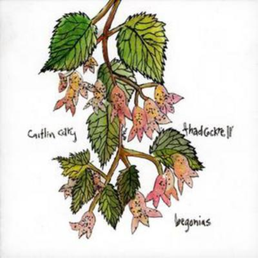 Caitlin Cary And Thad Cockrell Begonias (CD) Album