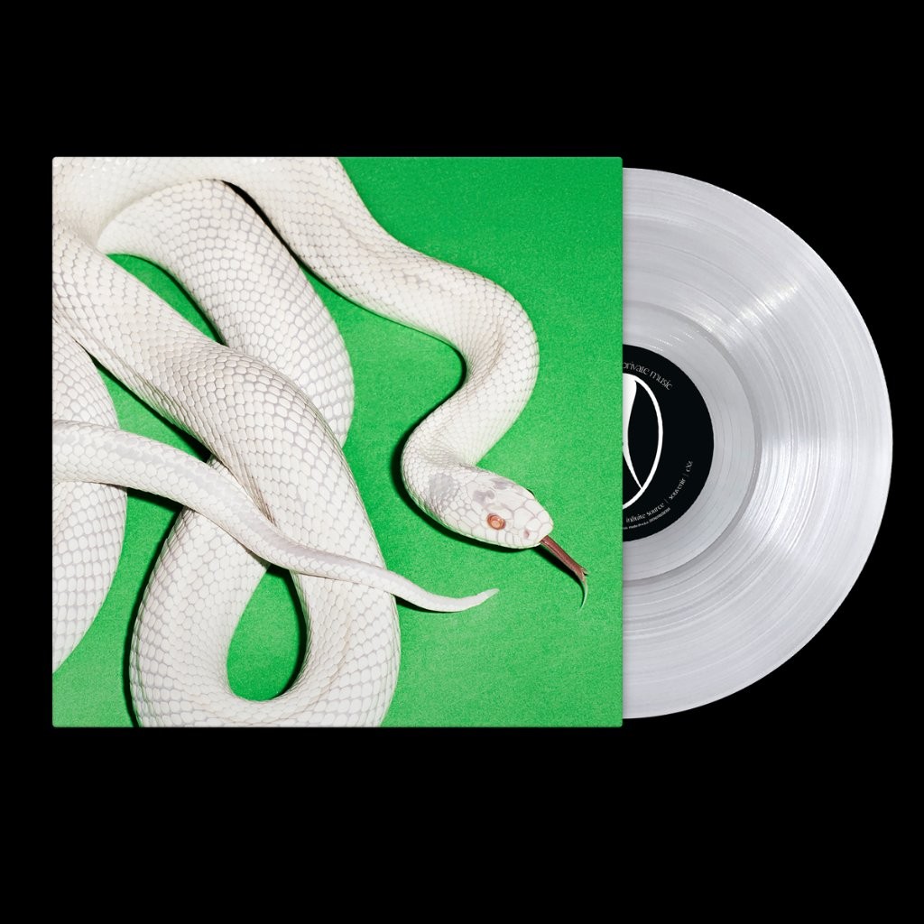 DEFTONES PRIVATE MUSIC LP VINYL Ultra clear vinyl LP. pre order expec - PRESALE