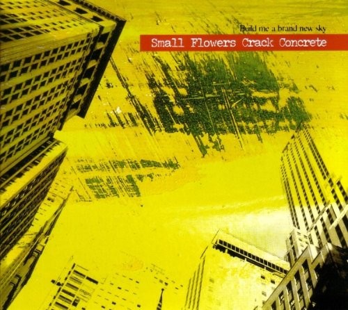 Small Flowers Crack Concrete Build Me A Brand New Sky (CD)