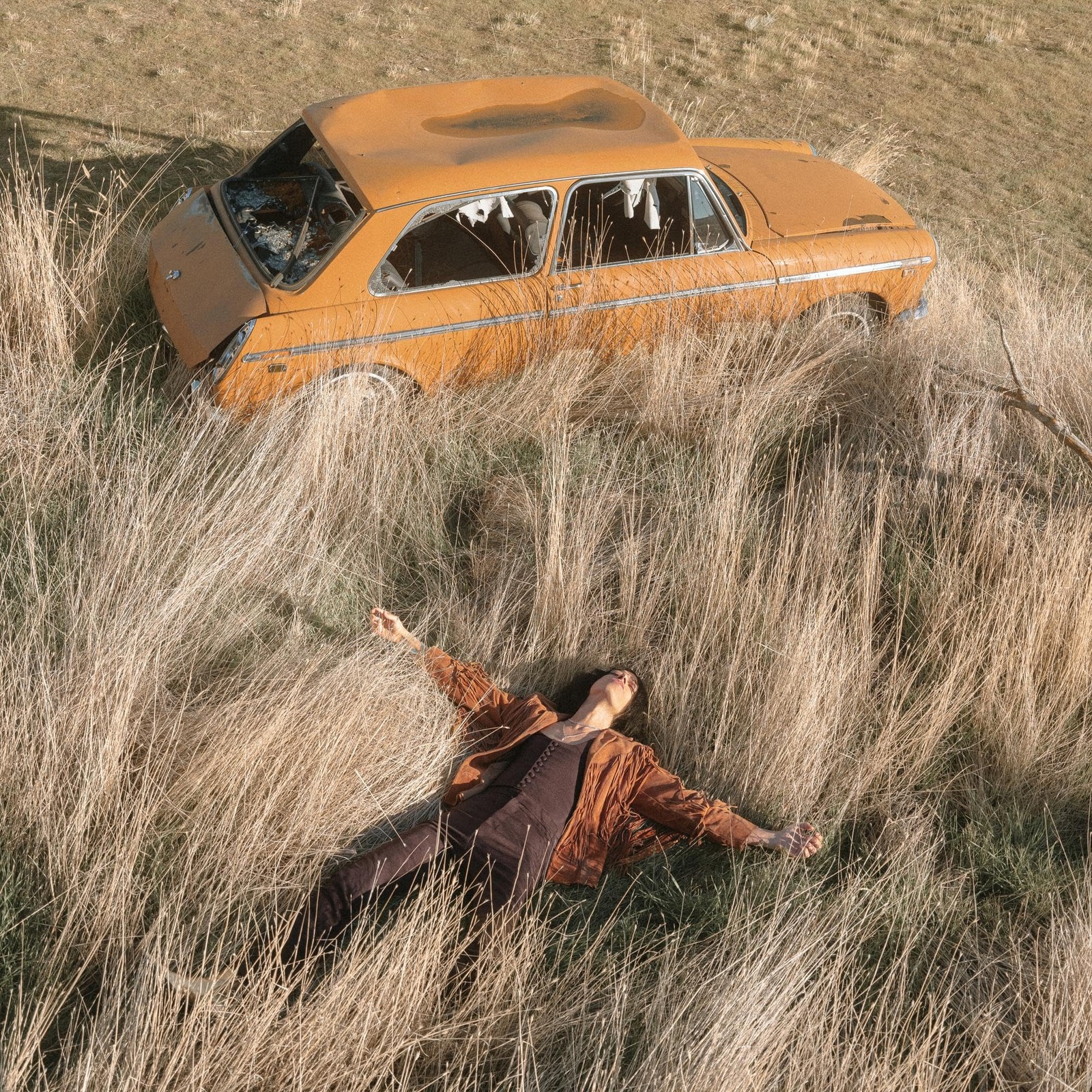 LAWRENCE ROTHMAN THE PLOW THAT BROKE THE PLAINS (Vinyl LP)
