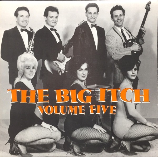 Various Big Itch, Vol. 5 (Vinyl LP)