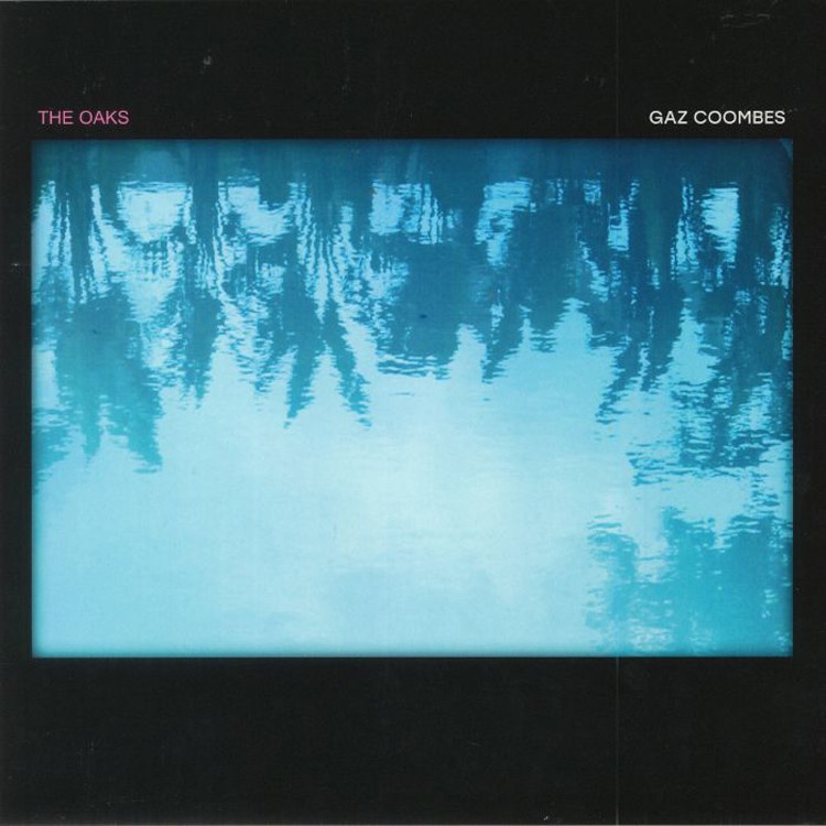 Gaz Coombes The Oaks (Vinyl LP) 12" Single
