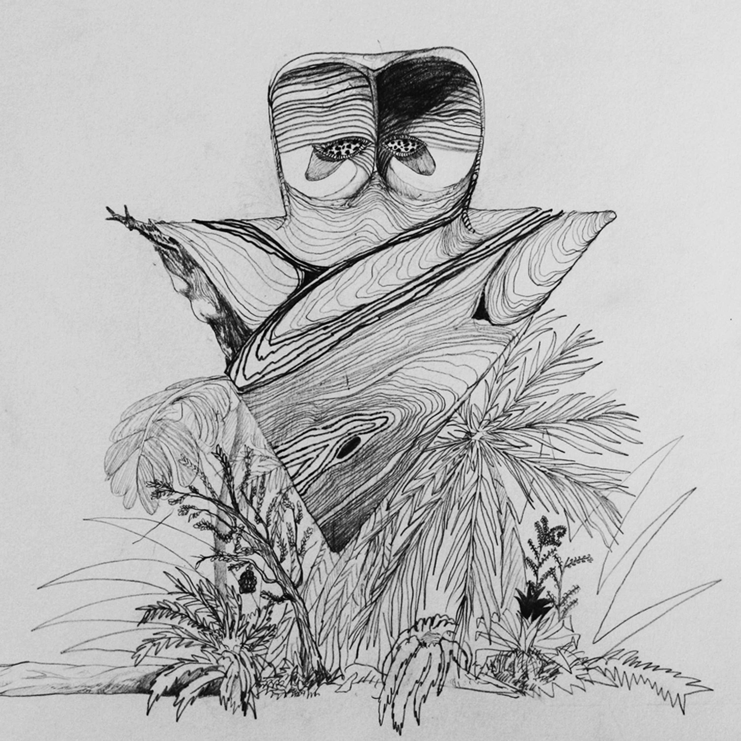 Papillon Cercueil Flottant (Cassette)