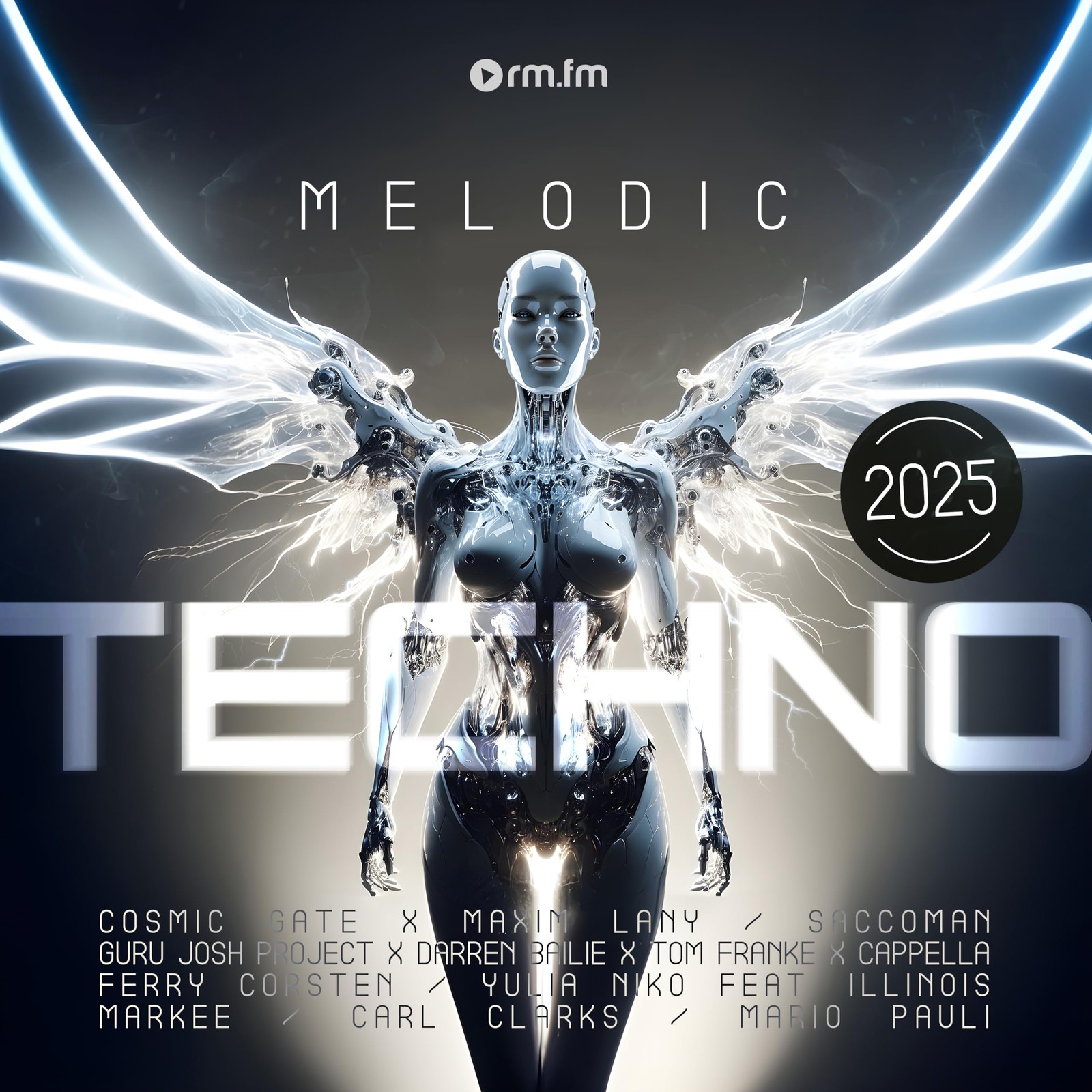 Various Melodic Techno 2025 (Vinyl LP)