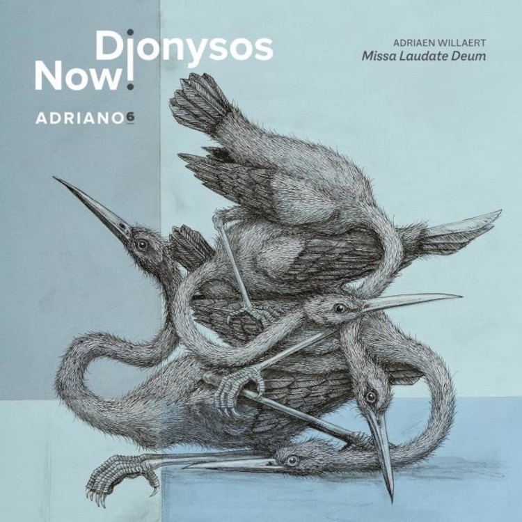 Dionysos Now! Dionysos Now!: Adriano 6 (CD) Album
