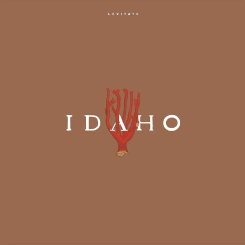 Levitate by Idaho [VINYL]
