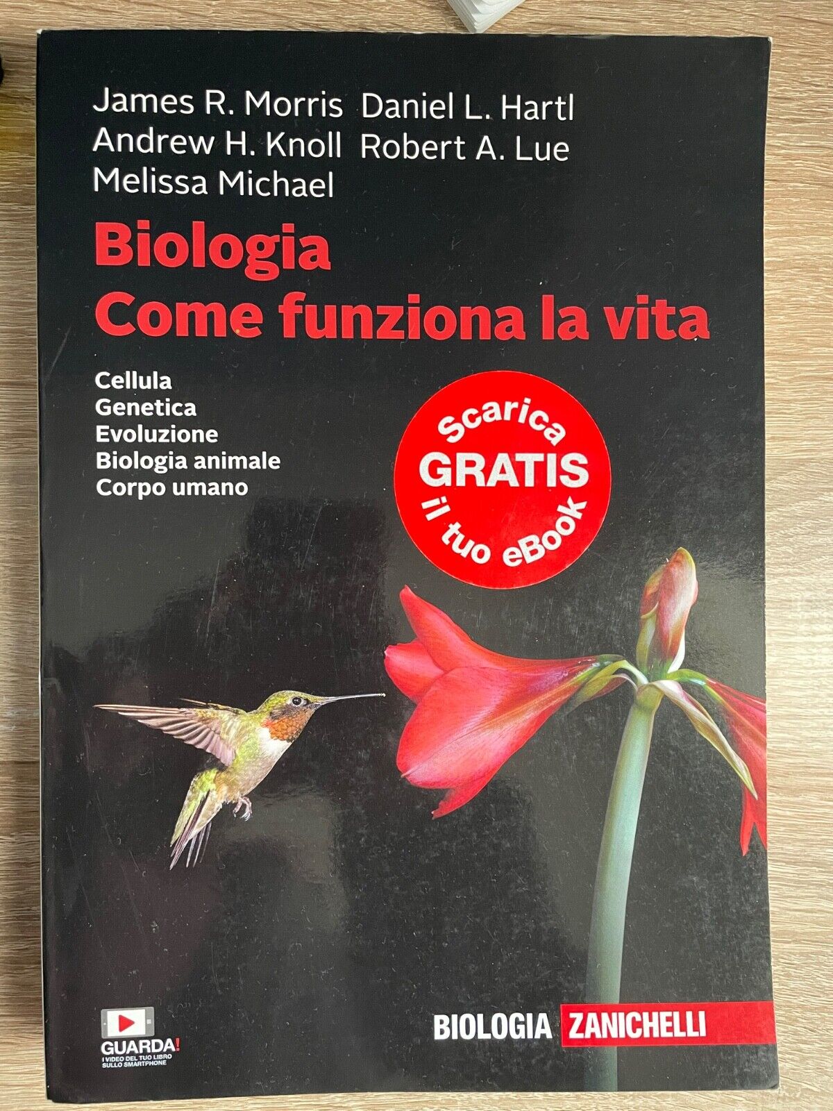 BIOLOGIA COME FUNZIONA LA VITA  - Morris James, Hartl Daniel, Knoll Andrew