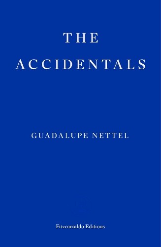 The Accidentals (Tascabile)