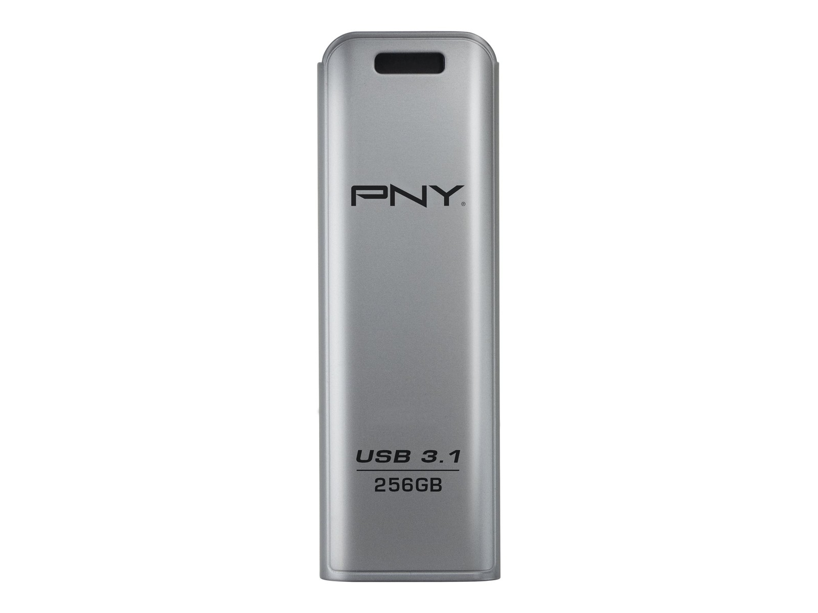 PNY FD256ESTEEL31G-EF 256 GB 3.2 Gen 1 (3.1 Gen 1) 20 MB/s Lamina di scorrimento