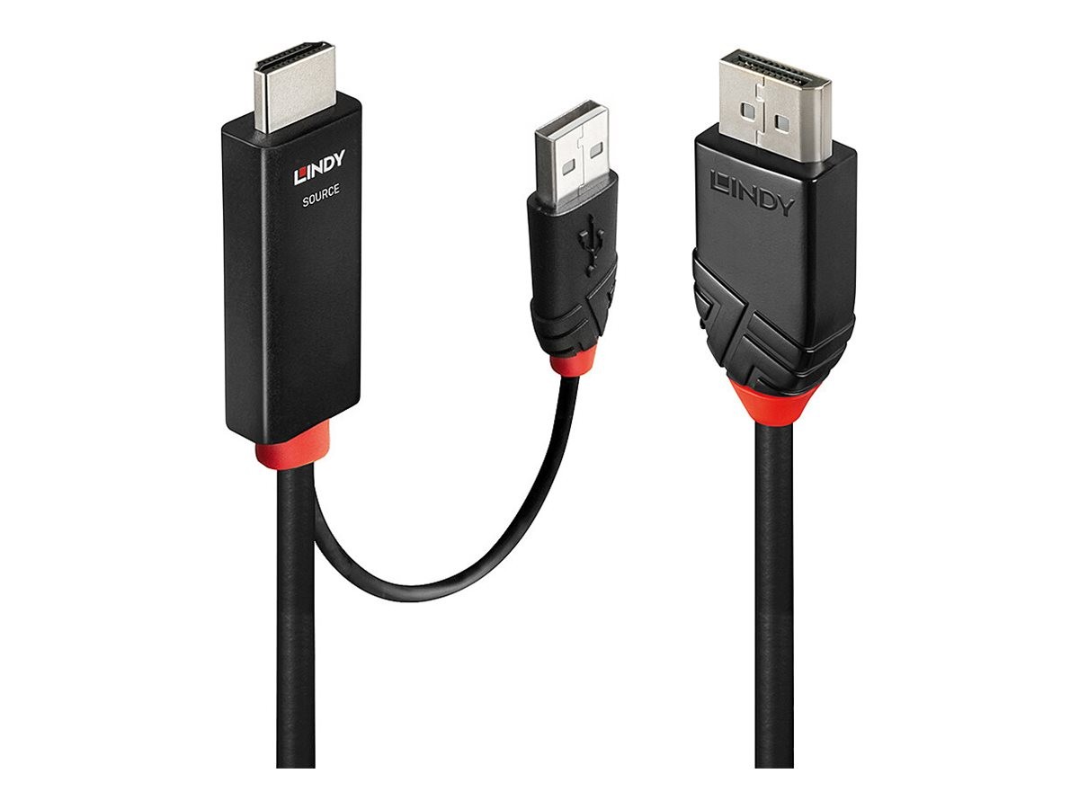 Lindy 41499 2 m HDMI + USB Type-A DisplayPort Maschio Maschio Dritto to