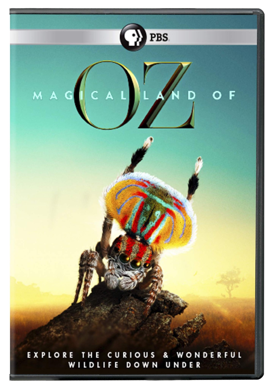 Magical Land of Oz DVD (DVD)
