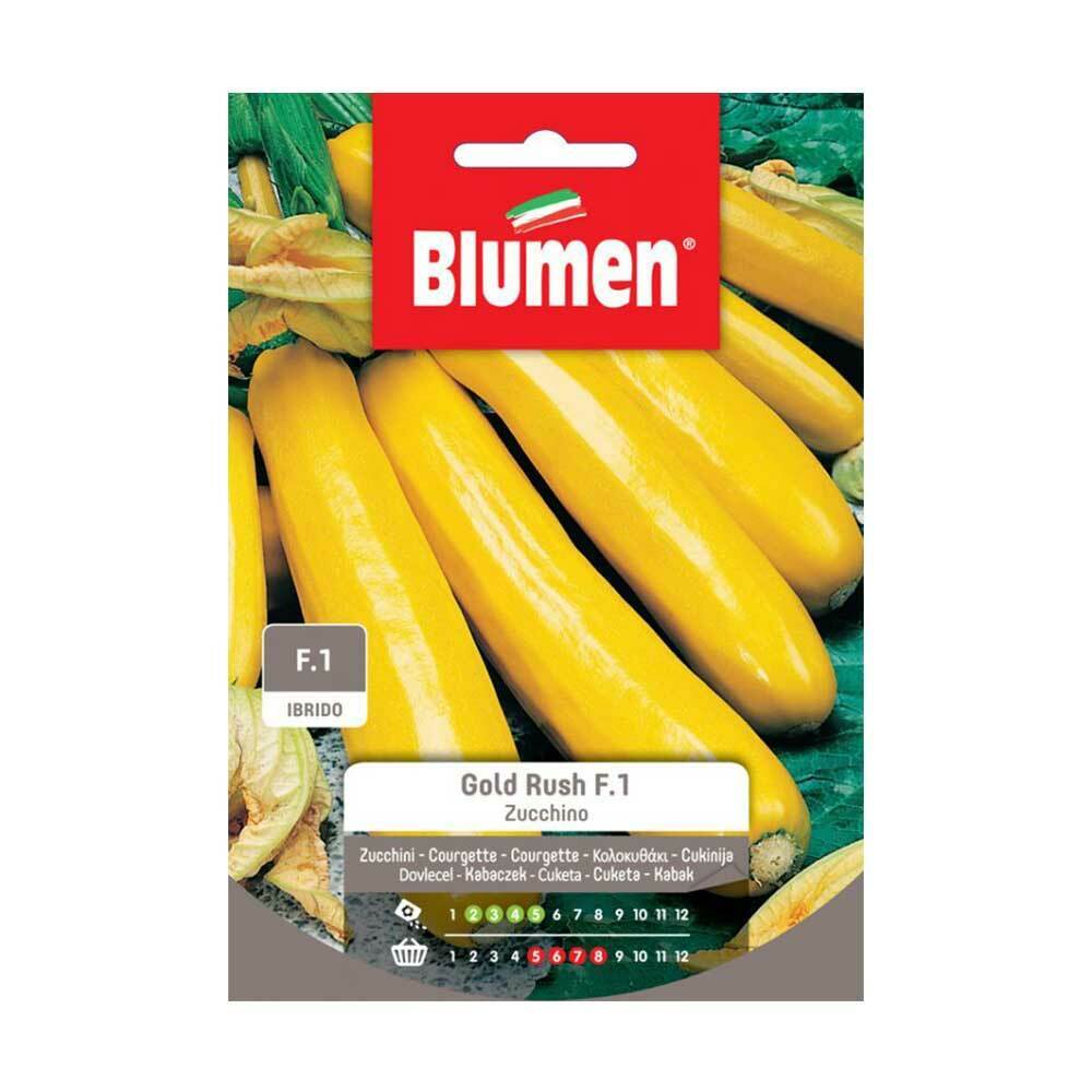 SEMI ZUCCHINO GOLD RUSH F1 IBRIDO BLUMEN