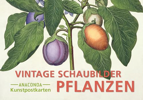 Postkarten-Set Vintage-Schaubilder Pflanzen: 18 Kunstpostkarten Aus Hochwertigem Karton: 88
