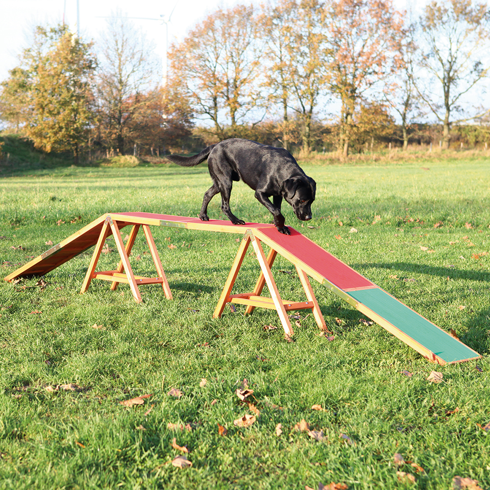 Rampe Trixie Dog Activity Agility - L 456 X L 30 X H 64 Cm