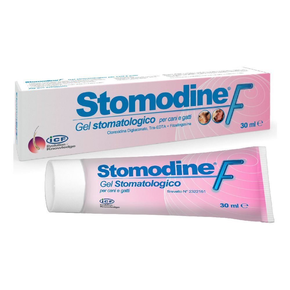 Stomodine F 30Ml 30 ml Gel