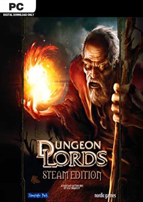 Dungeon Lords Steam Edition Pc