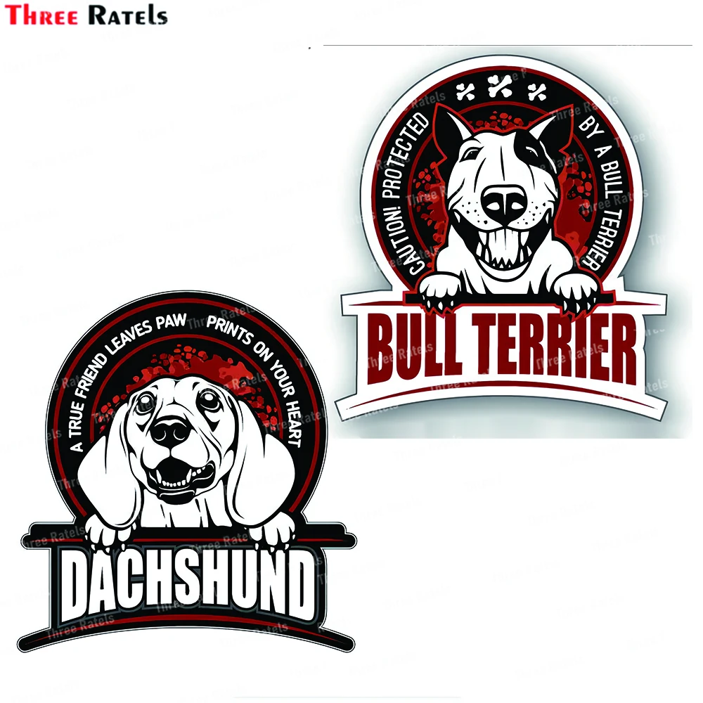 Tre Ratels J746 Bull Terrier Segnale Di Avvertimento Adesivo Popolare Ebay Decalcomania Funny Car Warning Sticker Decalcomanie