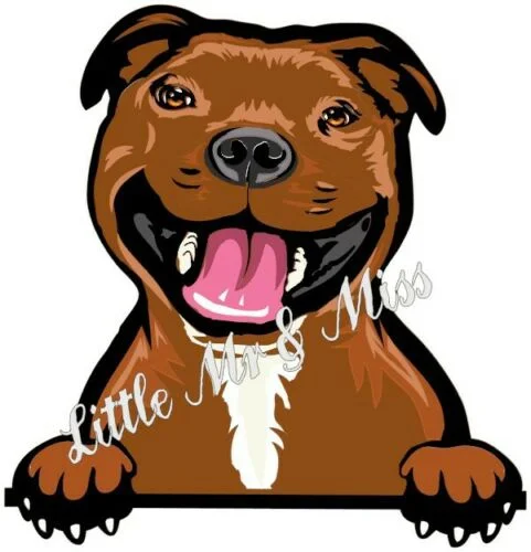 Per Rosso Staffordshire Bull Terrier Staffy Peeking Cane Finestra Adesivo Da Parete