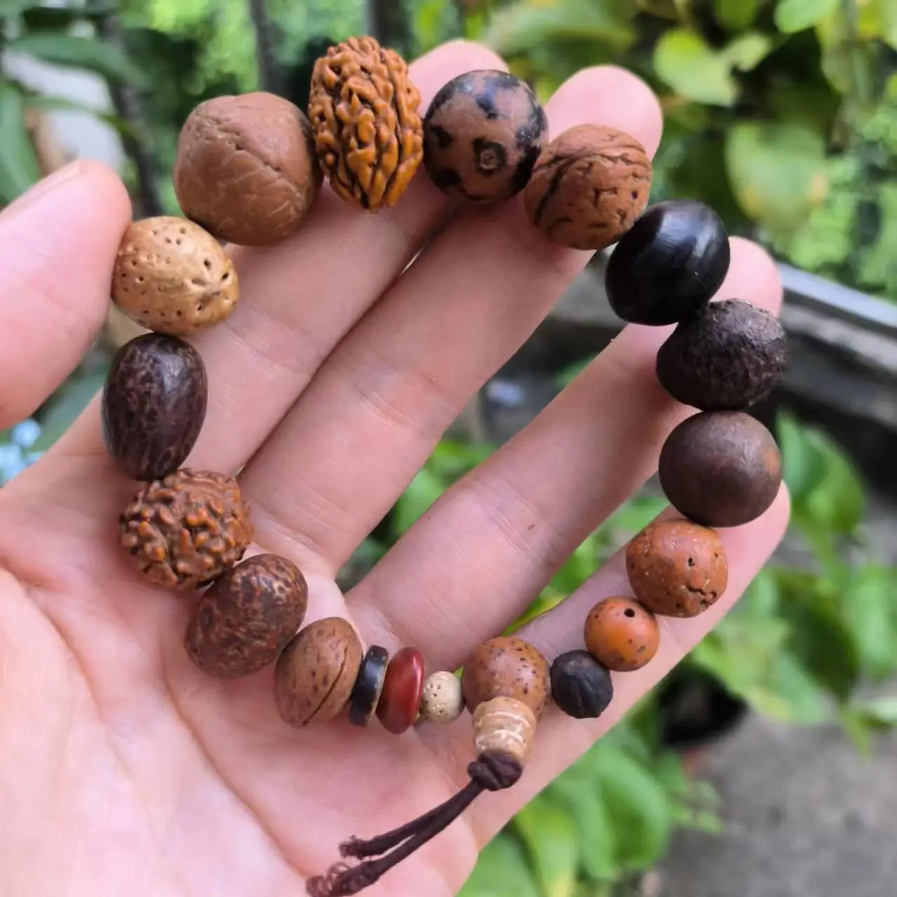 1Pcs/Lot Vintage Eighteen Seed Bracelet 18 Different Natural Nuts Skewered Handmade Simple And Natural Unique Accessories Taki