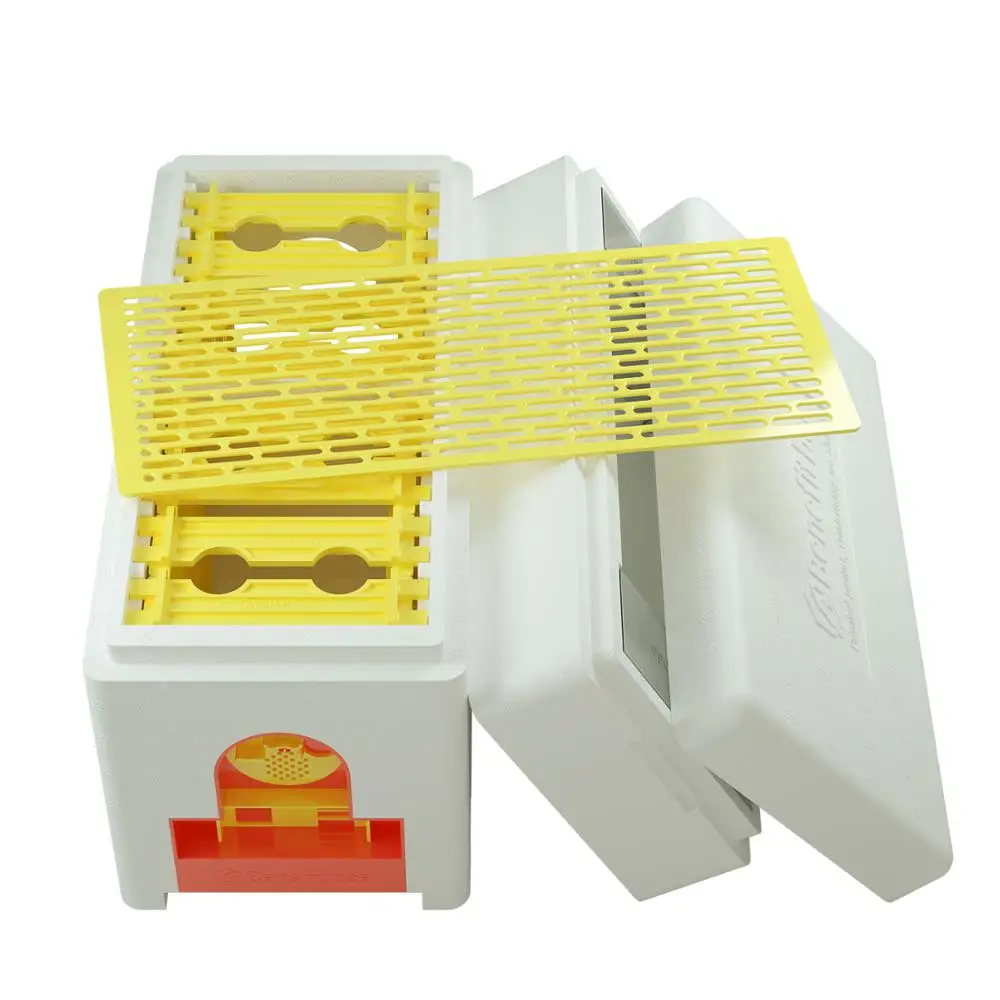 X12 Accoppiamento Completo Nuc Mini Plus Accoppiamento Alveare Creativo Apicoltura Alveare Regina Allevamento Nucs Apicoltura Alveare