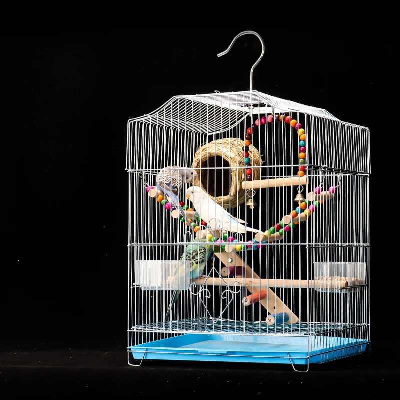 Metal Pigeon Loungefly Bird Cage Cockatiel Accessori Parrocchetto Bird Cage Parrot House Gabbia Per Uccelli Furnitures Yn50Bc