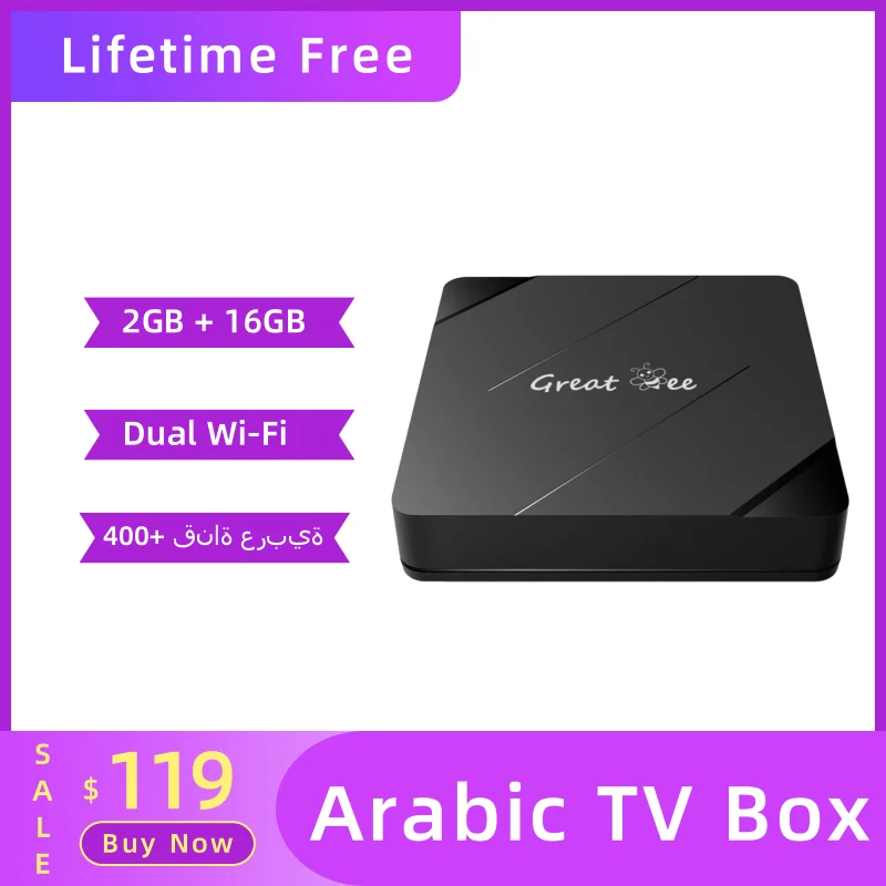 Android 10 2G 16G Gratuito Per Life Set Top Box Great Bee Arabic Tv Box