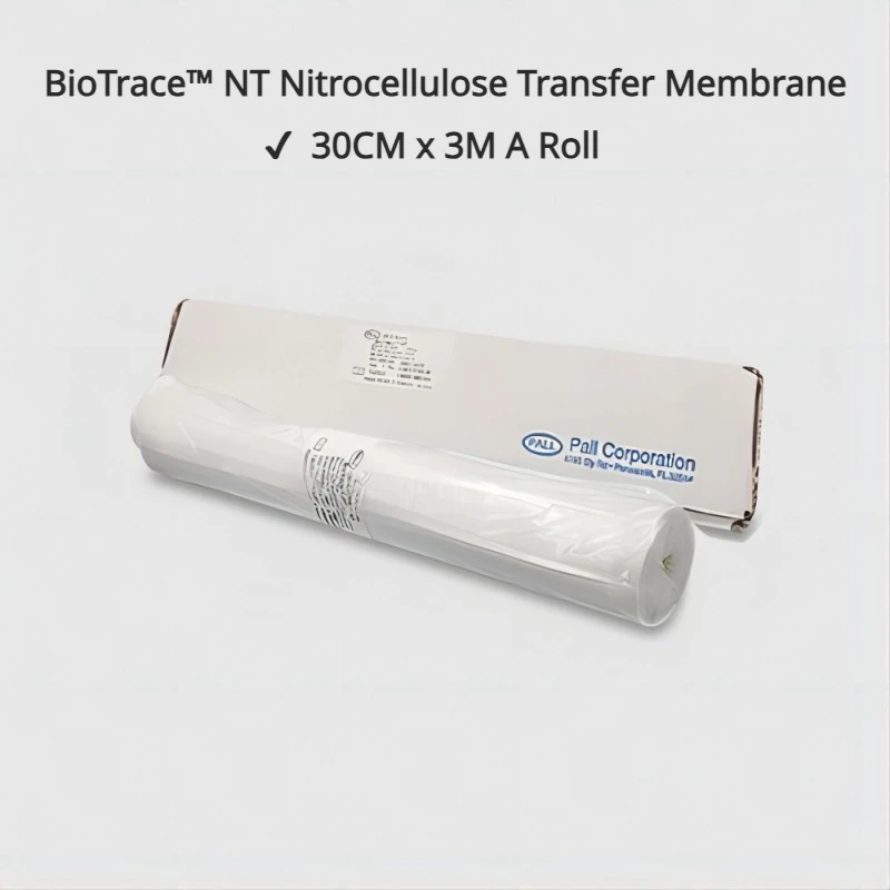 Pall 66485 0.2Um Nc Membrana Biotrace™Membrana Di Trasferimento Nitrocellulosa Nt Rotolo 30 Cmx3M Per Uso In Laboratorio Di Blotting Western/Dot/Slot