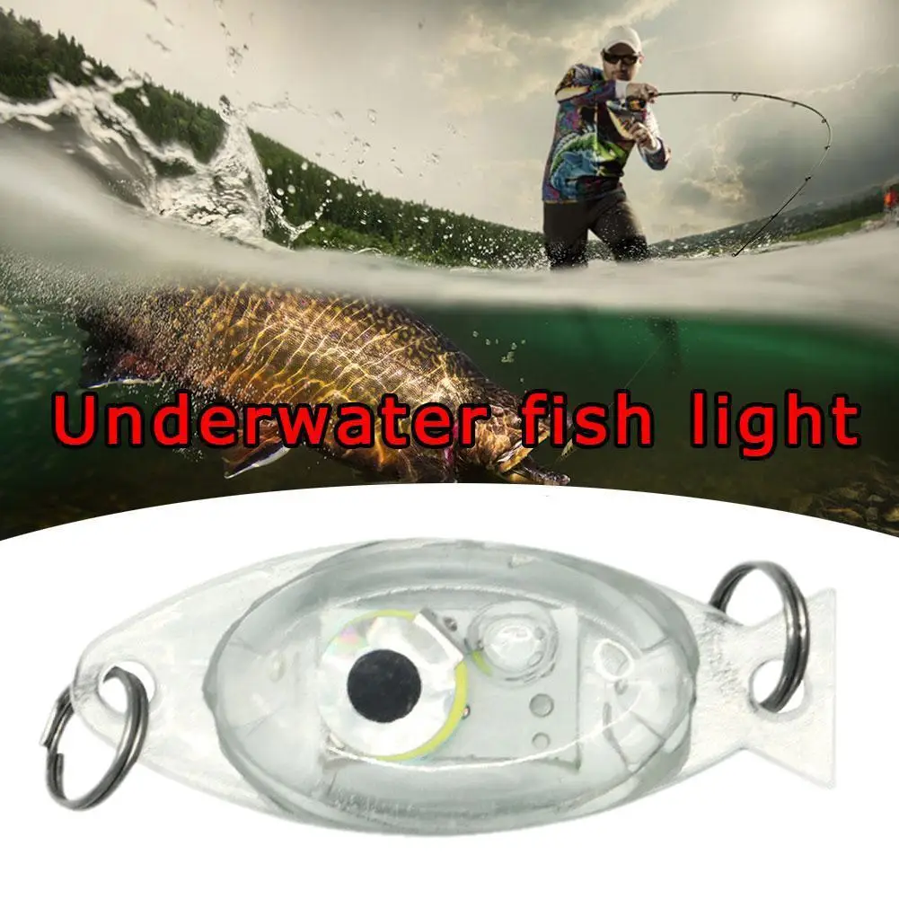 1Pc Mini Led Subacquea Che Attira La Lampada Del Pesce Esca A Cinque Colori Gear Bait Luya Light Night Fishing Fishing Light Forte Impermeabile