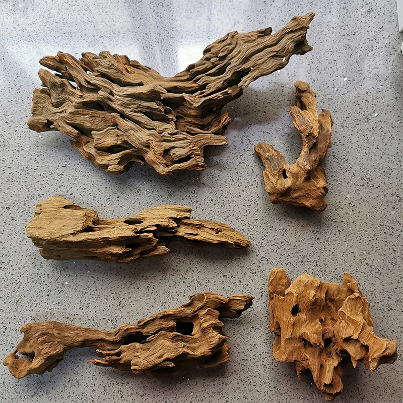 Fish Tank Shrimp Wood Driftwood Cave Wooden Ornaments Tree Trunk Hole Wood Fish Landscape Natural Aquarium Aquario Decor