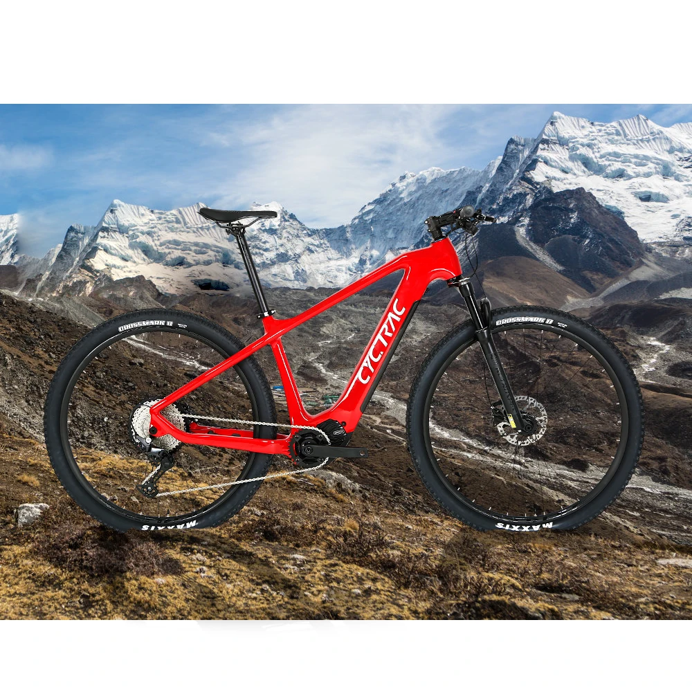 Spedizione Gratuita Bafang Mid Drive Motor Ebike M510 Carbon Electric Mountain Bike 27.5 29Er Bicicletta Con Batteria Nascosta 48 V13A