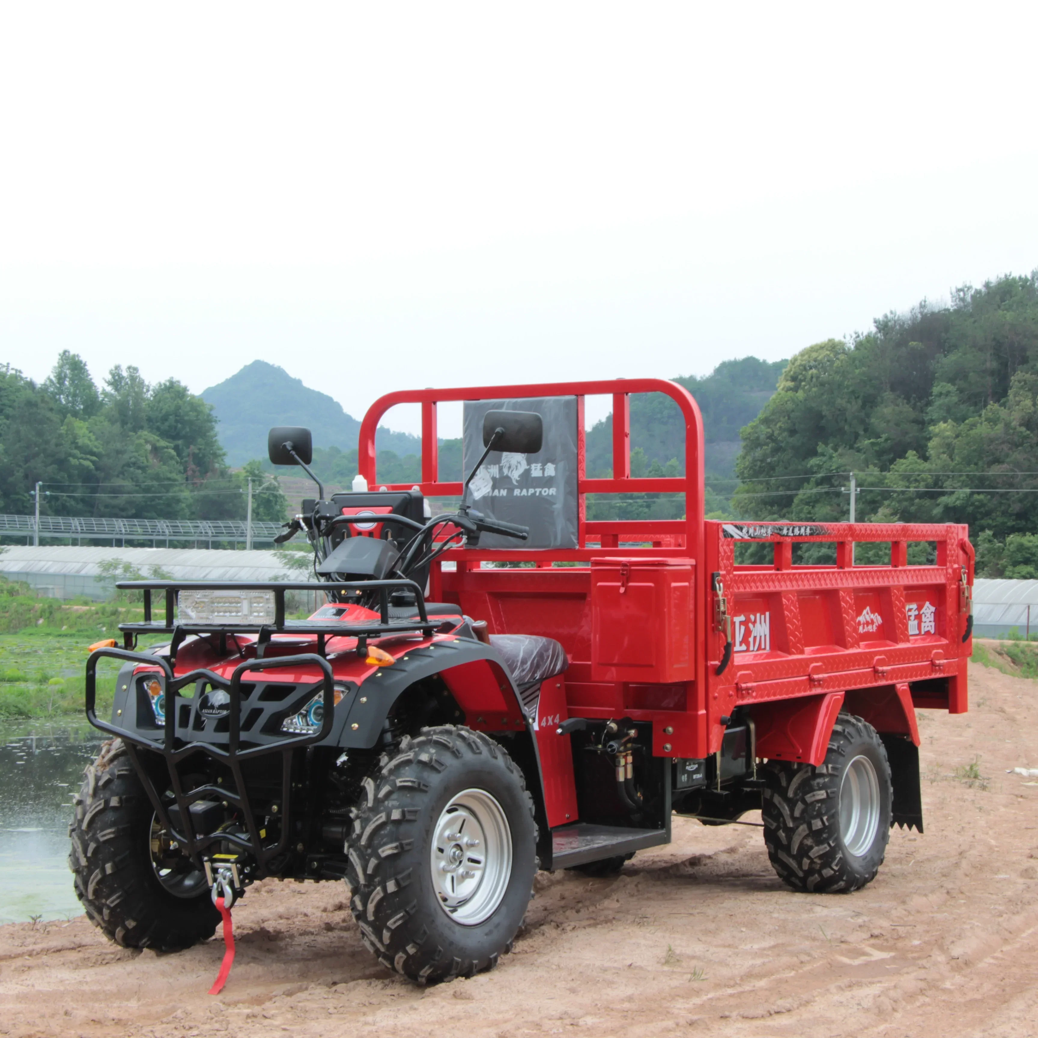 300Cc/350Cc 4X4 Adulto A Quattro Ruote Atv Fuoristrada Fuoristrada Veicolo Agricolo Dune Buggy Quad Moto Bike