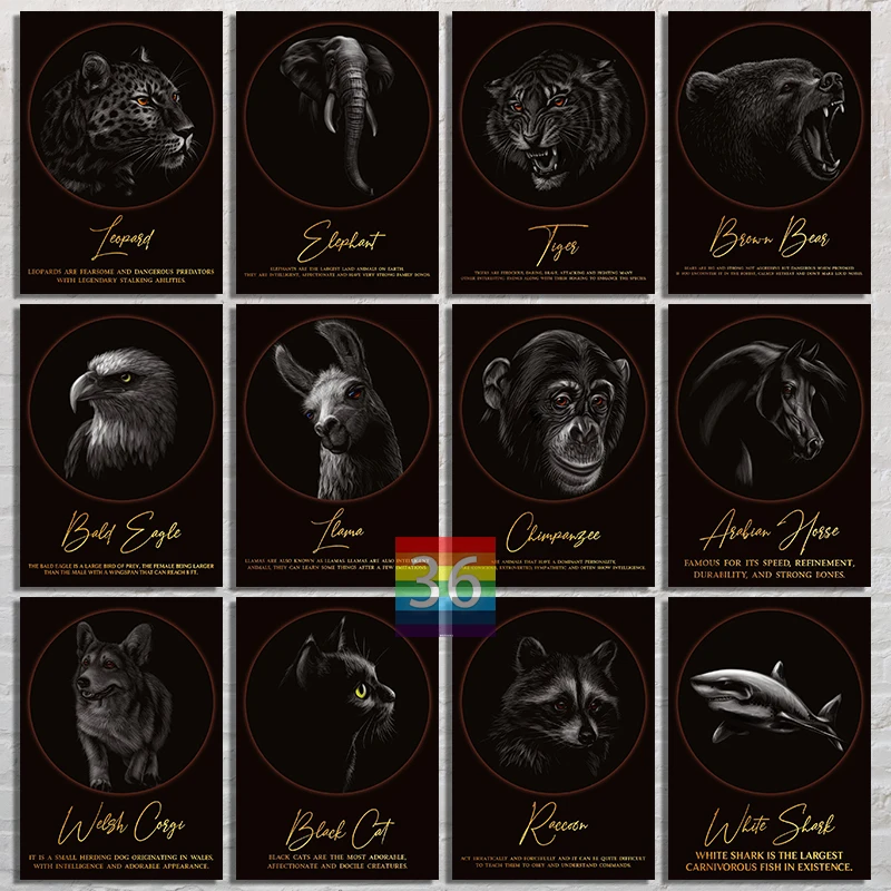 Arte Animale Scuro Minimalista Animale Wall Art Poster Stampa Su Tela Animale Orso Tigre Cavallo Squalo Decorazione Minimalista Di Arte Della Parete