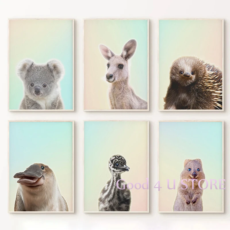 Cute Australian Baby Animals Rainbow Aussie Koala Poster Canvas Painting Wall Art Pictures Home Nursery Farmhouse Decor