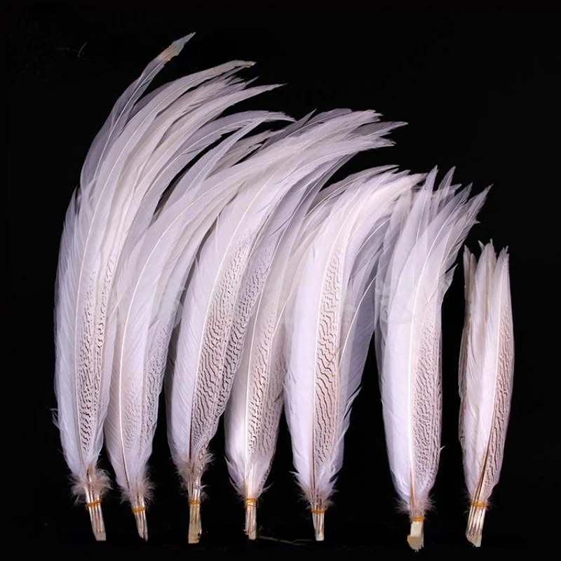 10 Pz/Lotto Colore Bianco Lady Amherst Fagiano Piuma D'Argento 30-55Cm Lungo Argento Bianco Coda Di Pollo Piume Piume Decorazione