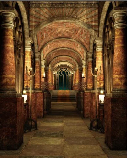 8 X8Ft Gobbo Di Notre Dame Custom Radiator Stones Corridoio Custom Photo Studio Sfondi Fondali Vinile 240Cm X 240Cm